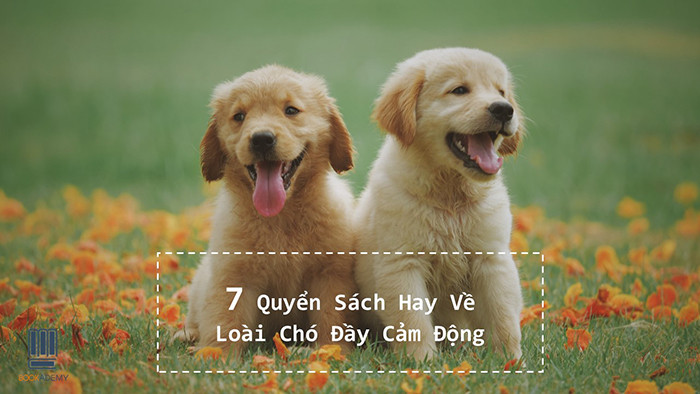 [Bookademy] 7 Quyển Sách Hay Về Loài Chó Đầy Cảm Động
