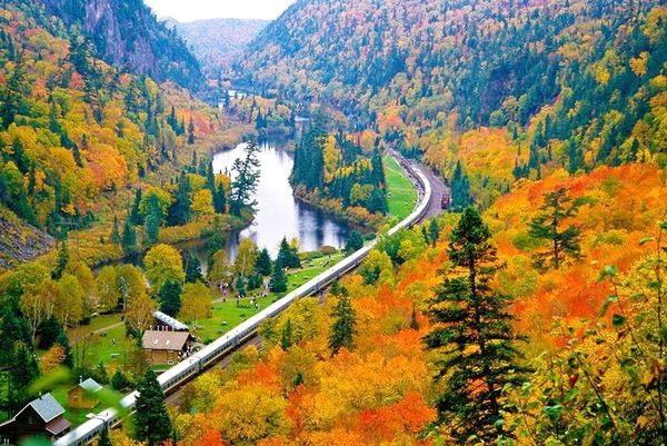 Top 5 Quyển Sách Truyện Tiểu Thuyết Hay Nên Đọc Năm 2021