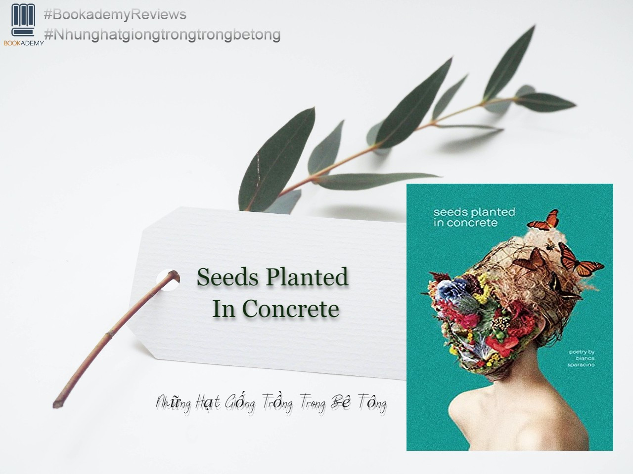 Những Hạt Giống Trồng Trong Bê Tông