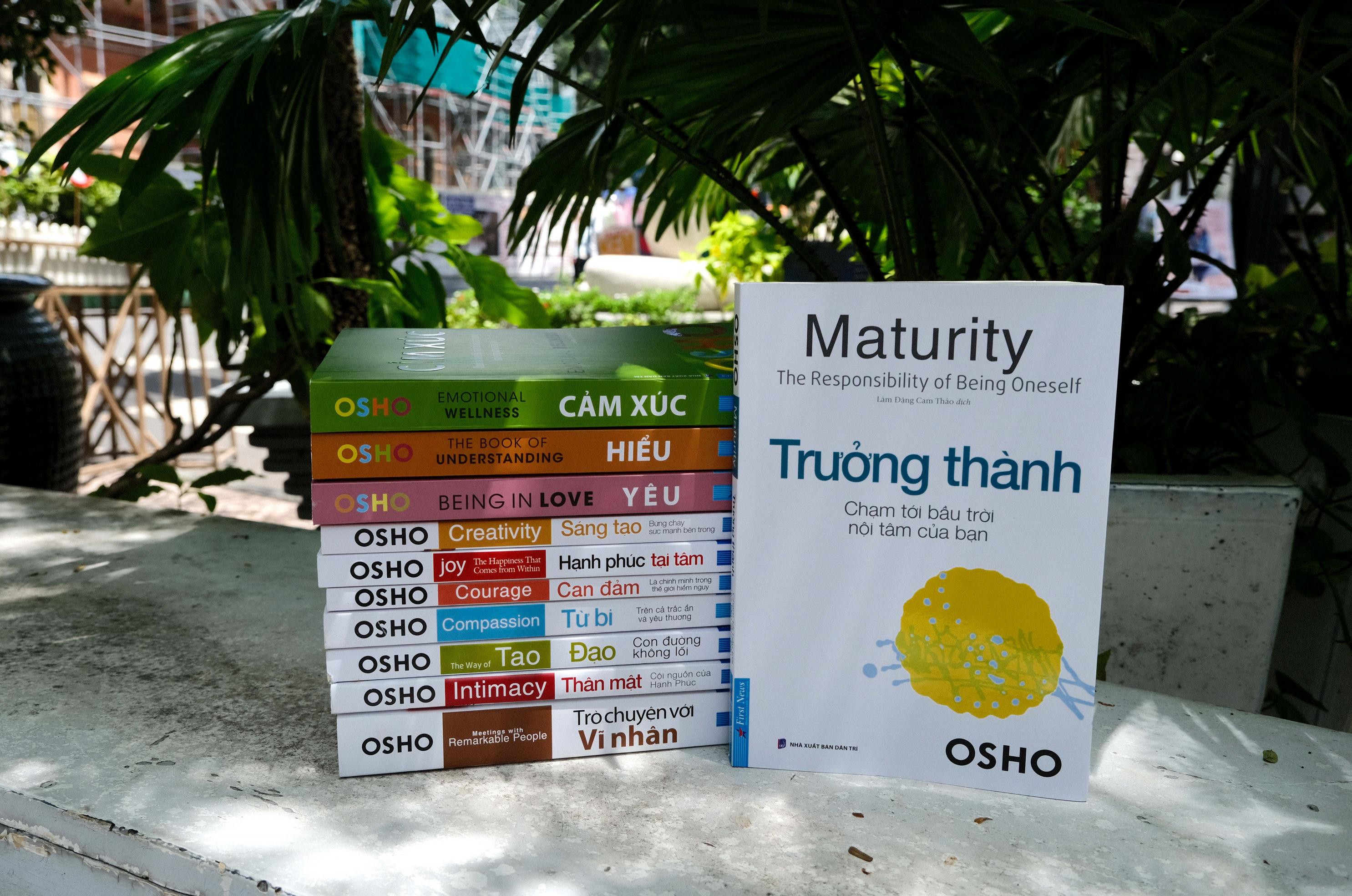 [Bookademy]  "Trưởng Thành": Để Giải Phóng Toàn Diện Cuộc Đời Bạn Một Cách Hữu Hiệu Nhất
