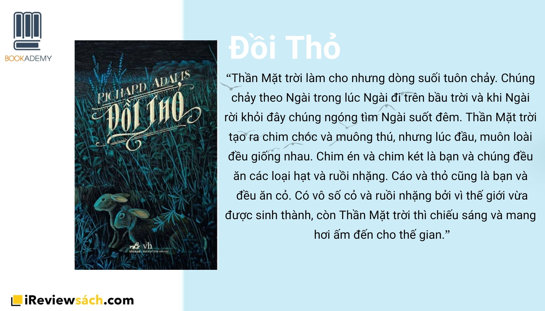 [Tóm Tắt & Review Sách] "Đồi Thỏ": Cổ Tích Thiếu Nhi Dành Cho Người Lớn