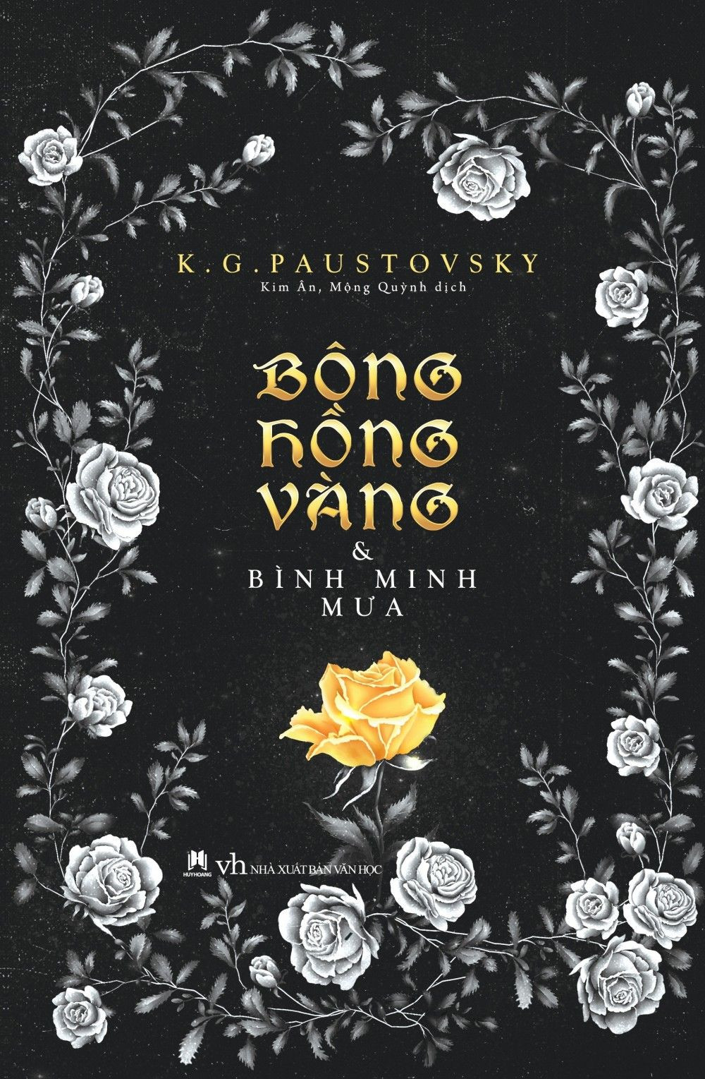 Hoa hồng vàng và  bình minh mưa
