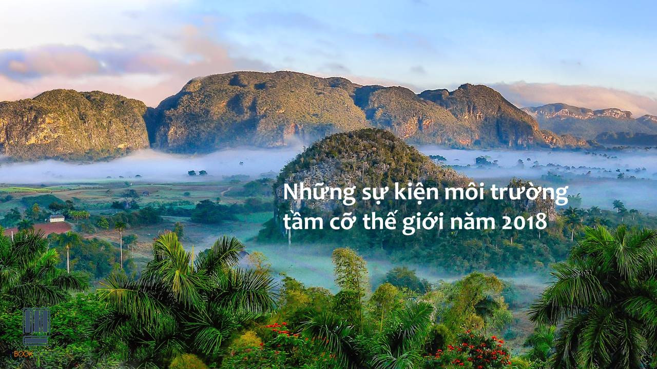 Không Chỉ Giờ Trái Đất, Đây Là Những Sự Kiện Môi Trường Tầm Cỡ Thế Giới Năm 2018 Mà Có Thể Bạn Chưa Biết Tới