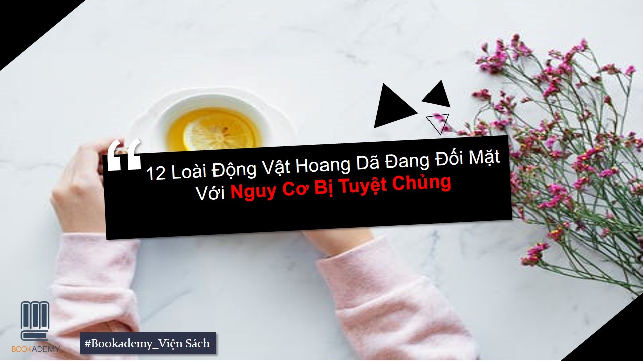 12 Loài Động Vật Hoang Dã Đang Đối Mặt Với Nguy Cơ Bị Tuyệt Chủng
