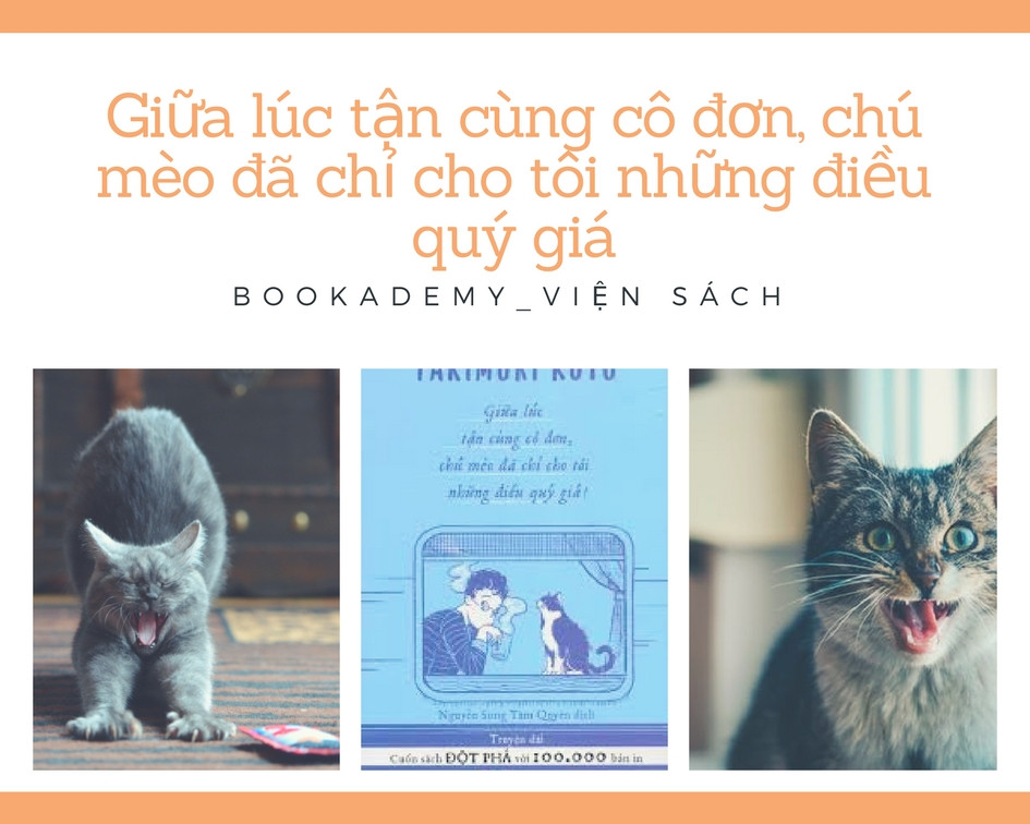 [Bookademy] Review Sách "Giữa Lúc Tận Cùng Cô Đơn, Chú Mèo Đã Chỉ Cho Tôi Những Điều Quý Giá”